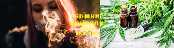 PSILOCYBIN Нефтекумск