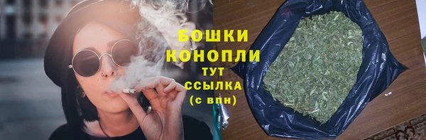 PSILOCYBIN Гусиноозёрск