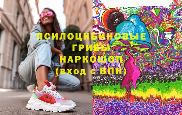 дмт Новокубанск