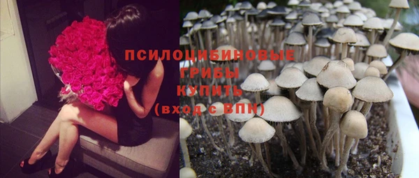 дмт Новокубанск