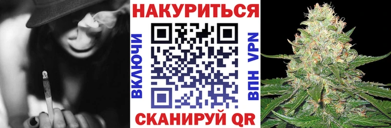 Конопля гибрид Щёкино